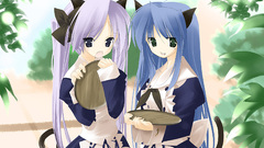 Maids nekomimi Anime