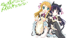 Maids nekomimi kousaka kirino