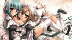 Maids nekomimi meganekko koihime