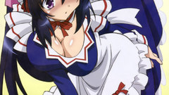 Maids nekomimi Omamori Himari