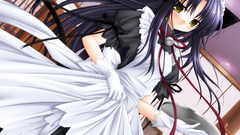 Maids nekomimi pure pure