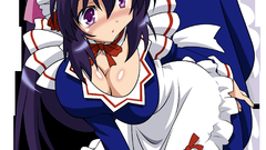 Maids nekomimi transparent Omamori