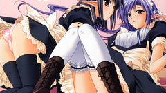 Maids nerine Tick! Tack!