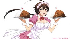 Maids sekirei