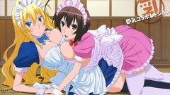 Maids sekirei tsukiumi
