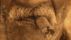 Main Avalon cigar or