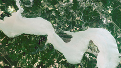 Main feature ys full