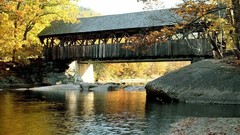 Maine artist Bridges