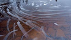 Maine Earth national geographic