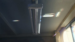 Makoto Shinkai 5 centimeters