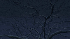 Makoto Shinkai 5 centimeters