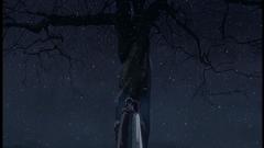 Makoto Shinkai 5 centimeters