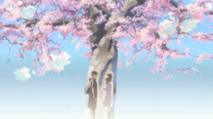 Makoto shinkai centimeters per