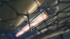 Makoto shinkai centimeters per