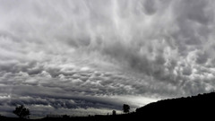 Mammatus cloud panorama high