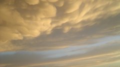 Mammatus high