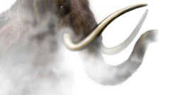 Mammoth Art