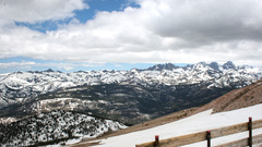 Mammoth Last one hope