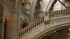 Man Museum History natural that discussion watched