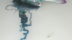 Man War high military