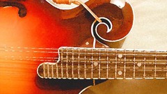 Mandolin