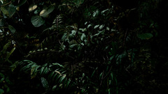 Mandolux fakej right Monitor