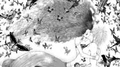 Manga Anime butterfly night