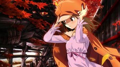 Manga anime girls monogatari-series sengoku nadeko