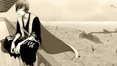 Manga bleach ichimaru gin