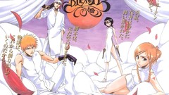 Manga canopy pillows bleach flower petals kurosaki ichigo inoue 