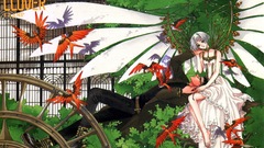 Manga clamp Clover (manga)