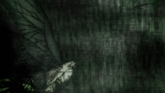 Manga clamp Clover (manga)