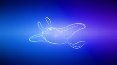 Manga Pokemon multicolor mantine video games