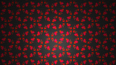 Maple leaves abstract