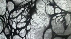 Maps detail No mans land