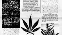 Marihuana poster high