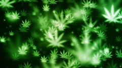 Marijuana bokeh