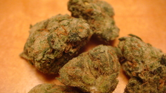 Marijuana buds