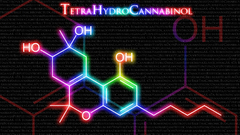 Marijuana chemistry thc