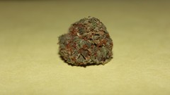 Marijuana kush nug