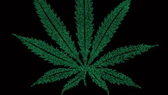 Marijuana leaf infographics