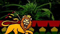 Marijuana Lion of Judah