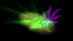 Marijuana papers please thanks