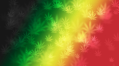 Marijuana rainbows drugs
