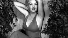 Marilyn Monroe grayscale monochrome