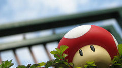 Mario mushrooms