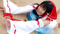 Mark hakurei reimu touhou detached sleeves Lenfried