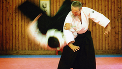 Martial arts Aikido