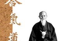 Martial arts Aikido