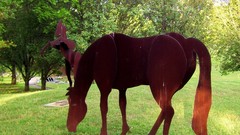 Maryland farms Horses high